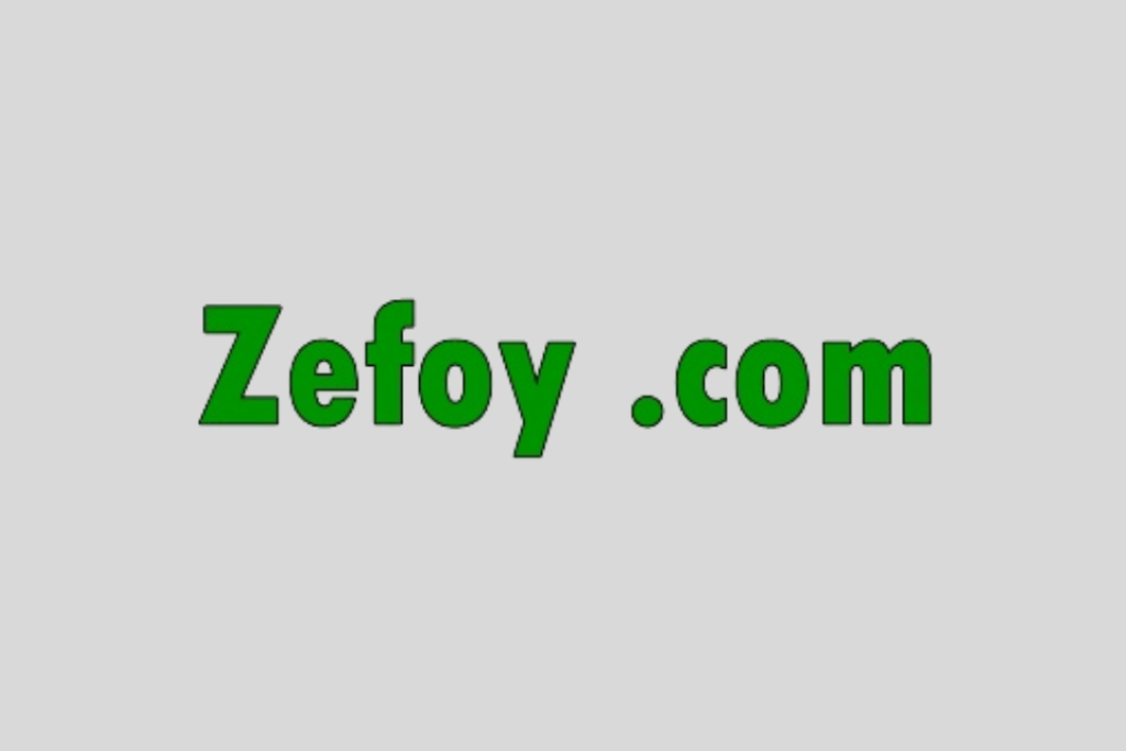Zefoy.com Review